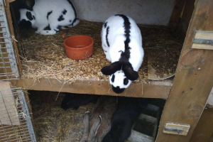 Barevný podzim na farmě