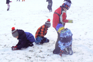 1.A,3.C-Zimní procházka